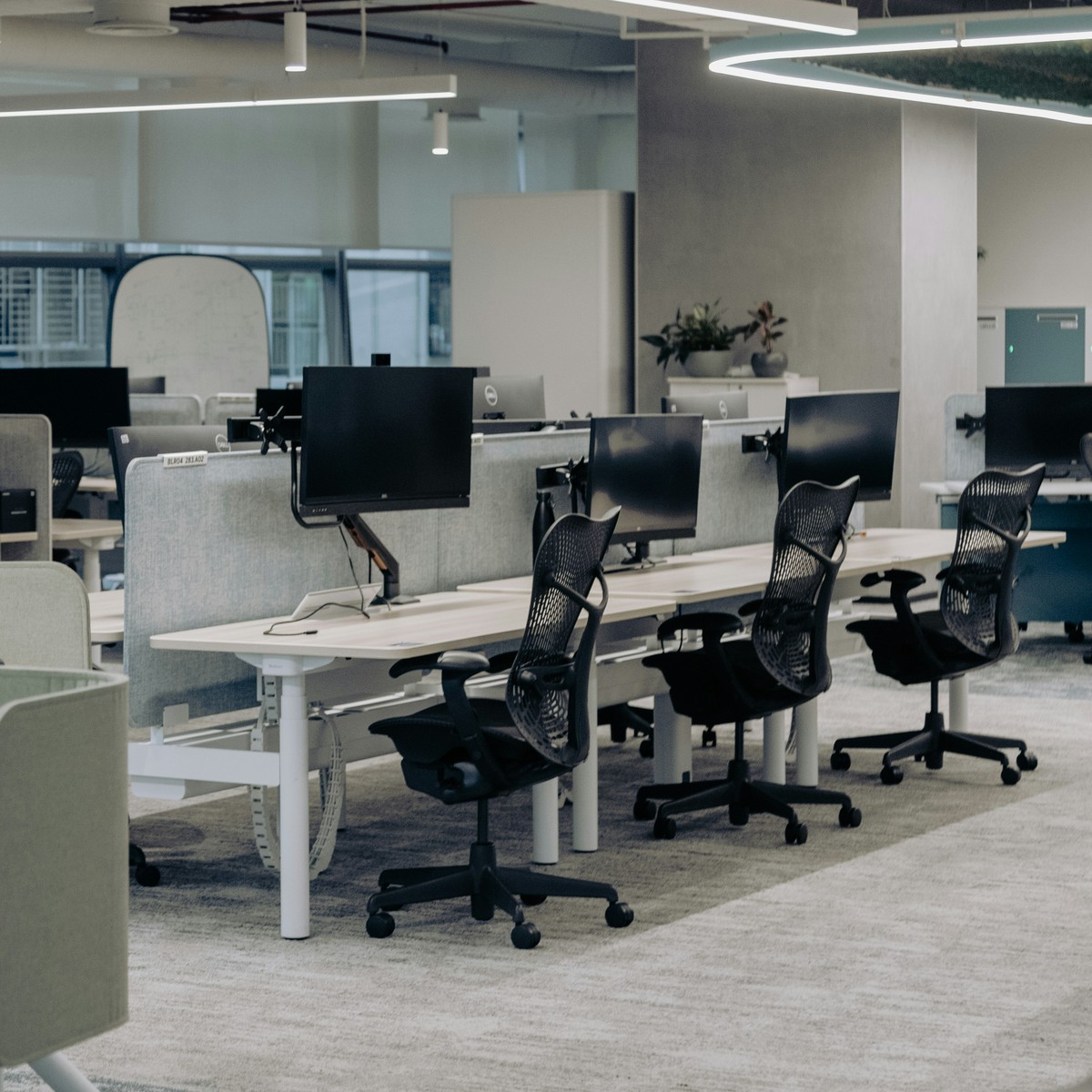 Phased Delivery, Office Fit-Out by Eaton & Co